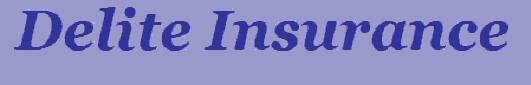 delite insurance logo